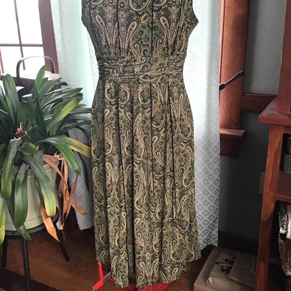 North Style Ruched Dress